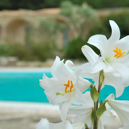 Masseria Relais Santa Teresa Hotel Sannicola
